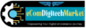 website (3)